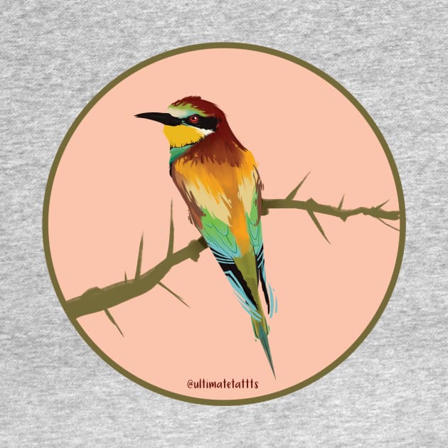 Euroasian Bee Eater by tattts